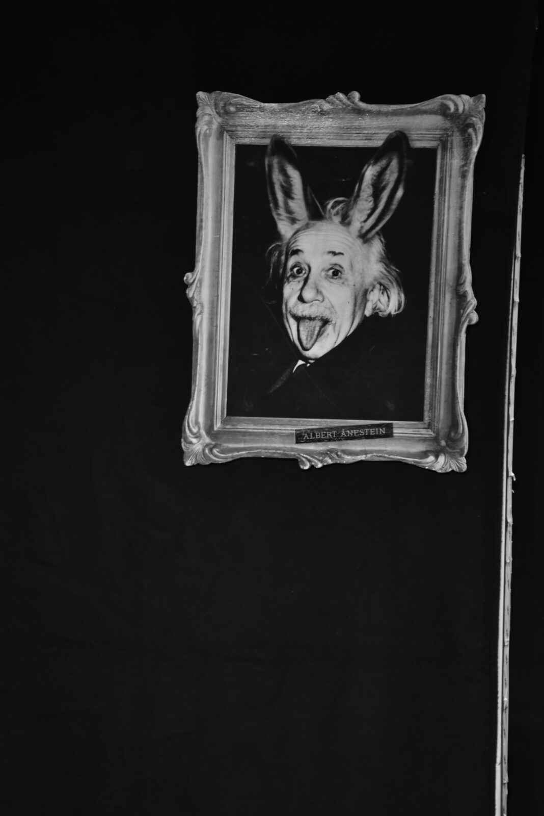 photo décor Bourriques